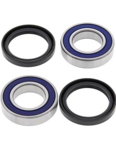 ALL BALLS Rear Wheel...