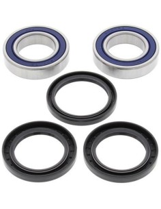 ALL BALLS Rear Wheel...