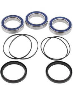 ALL BALLS Rear Wheel...