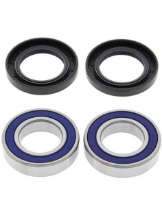 ALL BALLS Rear Wheel...