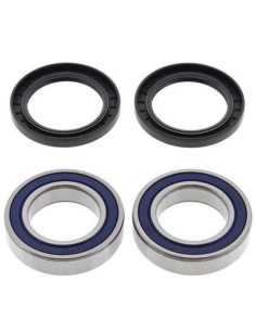 ALL BALLS Rear Wheel...