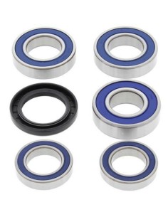 ALL BALLS Rear Wheel...