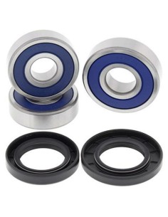 ALL BALLS Rear Wheel...