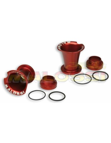 MALOSSI Intake Horns - 0516195