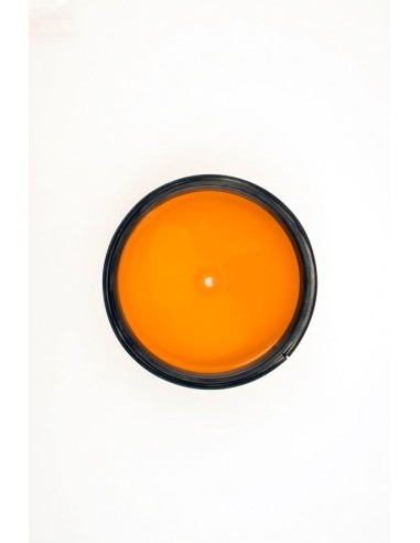 Capac filtru de aer TWIN AIR - 160050... Capac filtru de aer TWIN AIR - 160050...