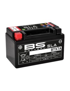 BS BATTERY SLA Battery...