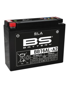 BS BATTERY SLA Battery...