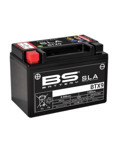 BS BATTERY SLA Battery...