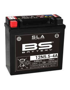 BS BATTERY SLA Battery...
