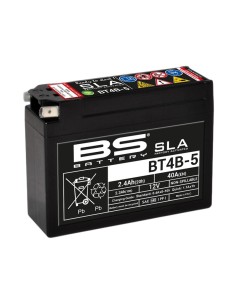 BS BATTERY SLA Battery...