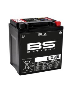 BS BATTERY SLA Battery...