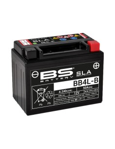 BS BATTERY SLA Battery...