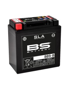 BS BATTERY SLA Battery...