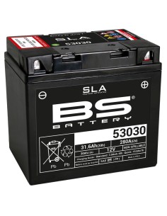 BS BATTERY SLA Battery...