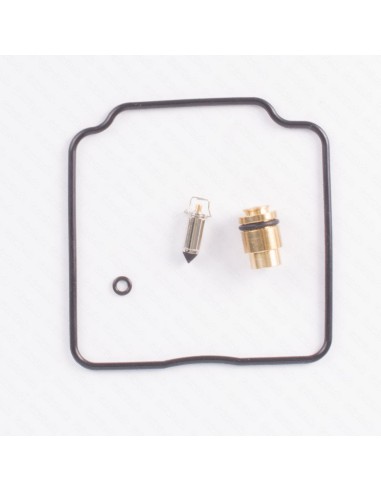 TOURMAX Carburetor Repair Kit