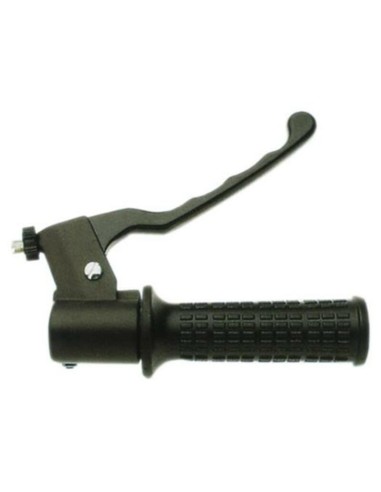 DOMINO Throttle Assembly Piaggio Ciao