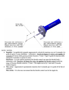 DOMINO Throttle control...