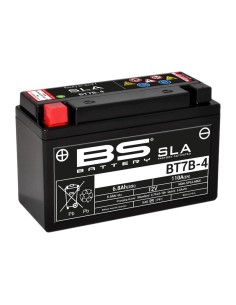 BS BATTERY SLA Battery...
