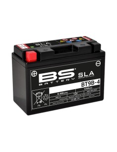 BS BATTERY SLA Battery...