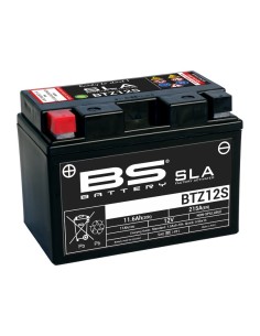 BS BATTERY SLA Battery...