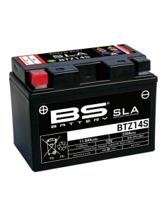 BS BATTERY SLA Battery...