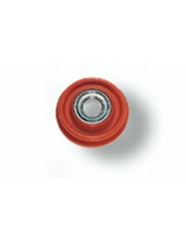 PULLEY WITH ROLLER BEARINGS