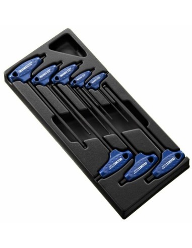 EXPERT 8 T-Handle Hexagon Keys Tools Module - Plastic Tray