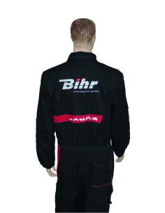 BIHR Workshop Overall -... 2