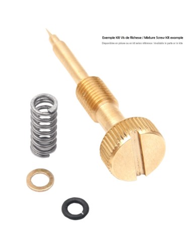 ADJUSTMENT SCREW SPRING