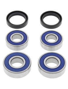 ALL BALLS Wheel Bearing Kit