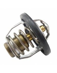 Termostat apa TOURMAX...