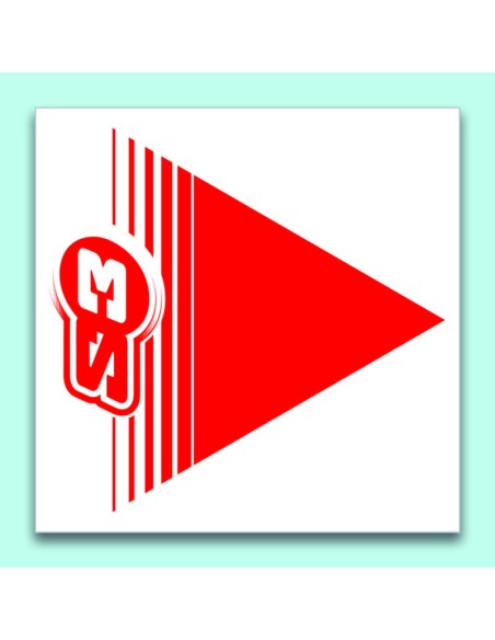 S3 Signalling Arrows Red 50 Pieces 12x12cm