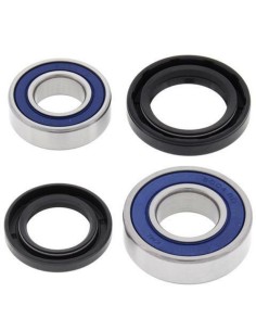 ALL BALLS Wheel Bearing Kit