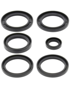 ALL BALLS Differential Seal...