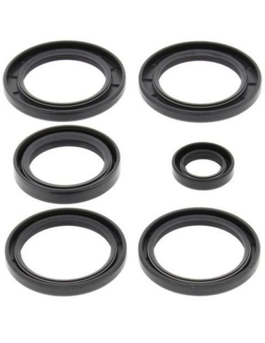 ALL BALLS Differential Seal Kit