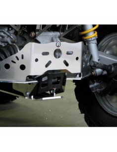 AXP Rear A-Arm protection -... 2