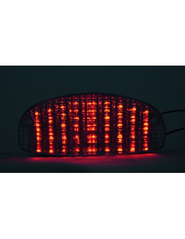 BIHR LED Rear Light with Integrated Indicators Honda Hornet 600