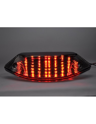 HONDA 600/900 LED REAR LIGHT WITH INTEGRAL INDICATORS