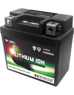 SKYRICH Battery Lithium-Ion...
