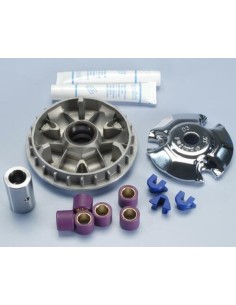 Variator Hi-Speed POLINI -...