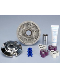 POLINI Hi-Speed Variator -...