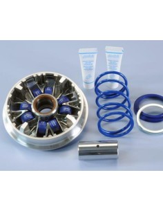 POLINI Hi-Speed Variator -...