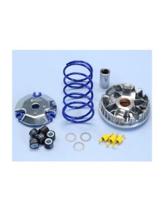 Variator Hi-Speed POLINI -...
