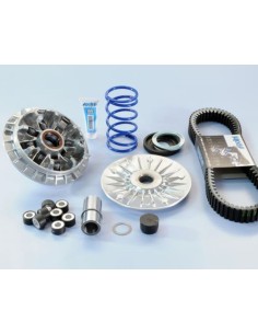 POLINI Hi-Speed Variator  -...