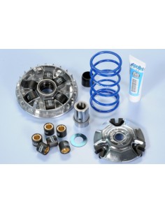 Variator Hi-Speed POLINI -...