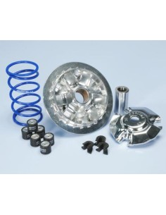 Variator Hi-Speed POLINI -...