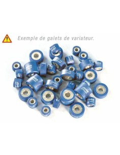 POLINI Variator Rollers...