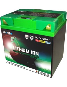 SKYRICH Battery Lithium-Ion...