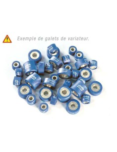 POLINI Variator Rollers...