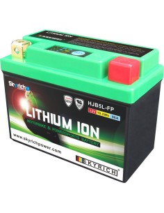 SKYRICH Battery Lithium-Ion...